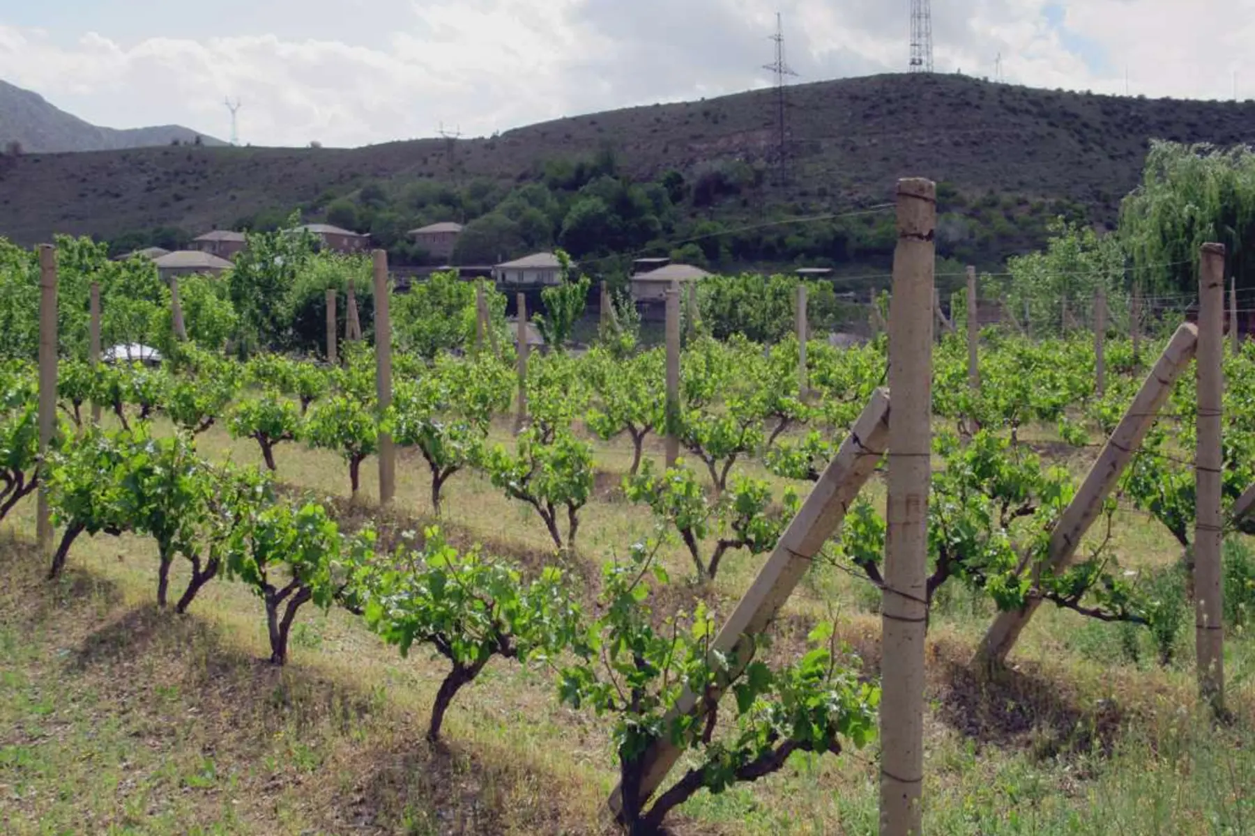Khor Virap, Hin Areni Şaraphanesi, Ermeni Tolması Atölyesi ve Noravank